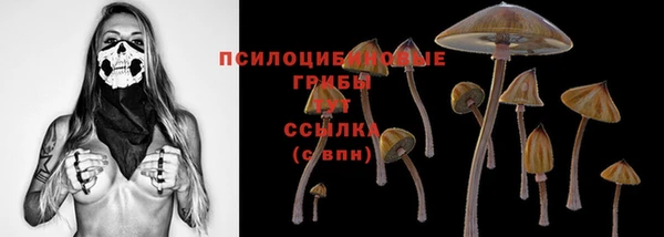 мяу мяу мука Армянск