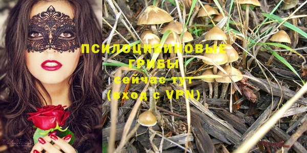 мяу мяу мука Армянск