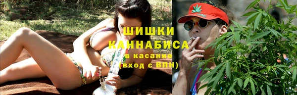 крисы Арсеньев